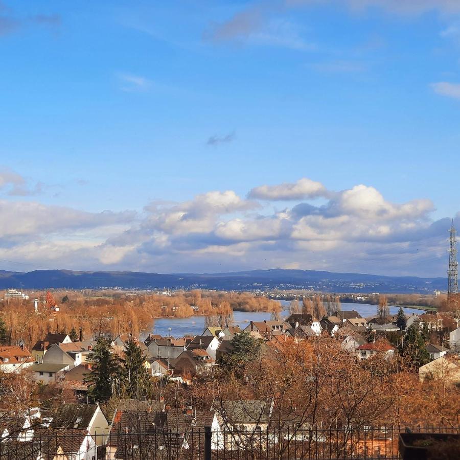 Rheinblick Apartman Weissenthurm Kültér fotó